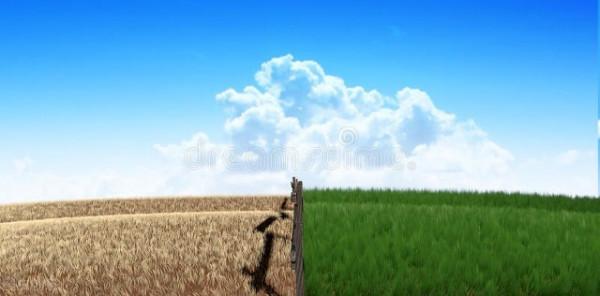 新年來臨前,要說的熱氣騰騰的心裡話…… 新年來臨前,要說的熱氣騰騰的心裡話……