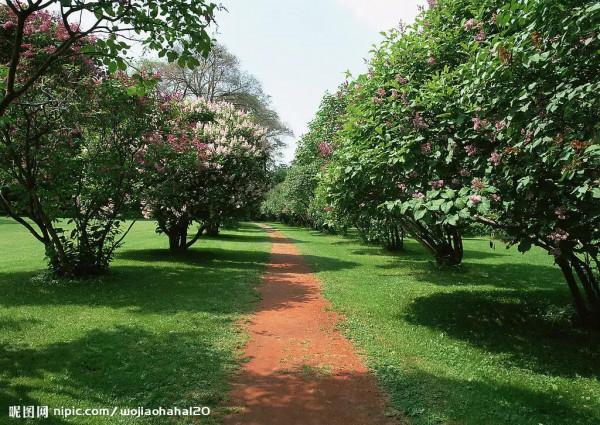 特別漂亮的路風景分享