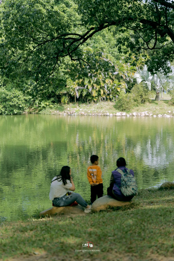 抓住秋天的影子，至少要去一次「華南植物園」