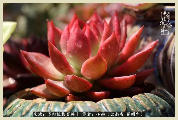 用一份熱愛，溫暖一段時光