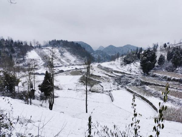 歸途——不可避免，我們離死亡越來越近