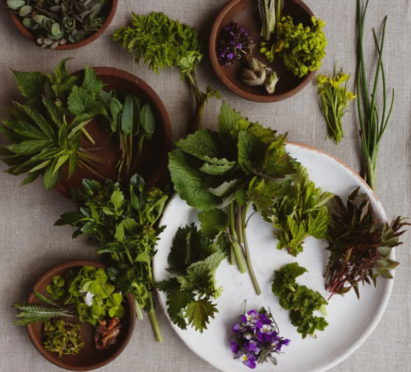 7 間頂尖星級餐廳的純素選單