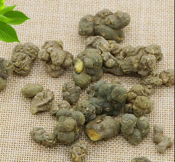 每天學習一味中藥——夏天無