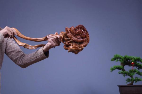 枯木一截，如降龍盤亙！這大自然，造化太神奇了