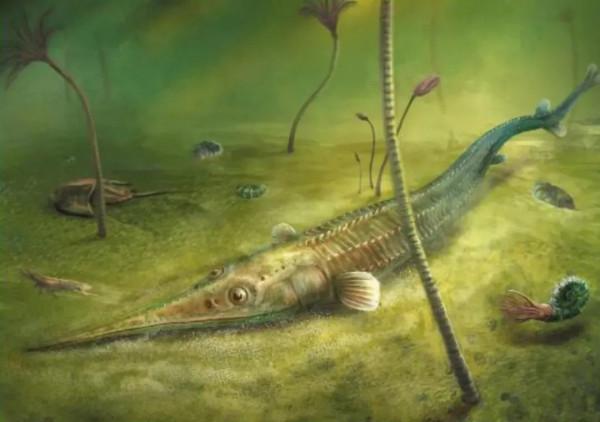 藝術與科學的碰撞,帶你走近古生物復原圖的世界——復原圖畫師楊定華專訪 藝術與科學的碰撞,帶你走近古生物復原圖的世界——復原圖畫師楊定華專訪