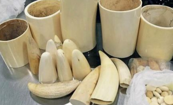 2009年中國一大媽在非洲被判15年，行為引發眾怒，耿爽：絕不袒護