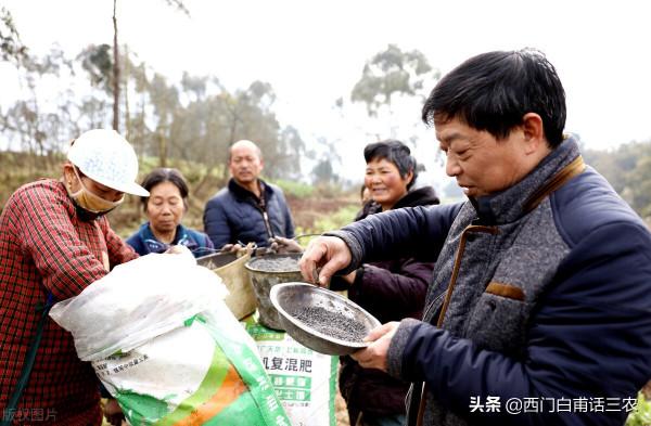 有人說，一些種糧大戶流轉土地是為了騙取國家補貼，你怎麼看？