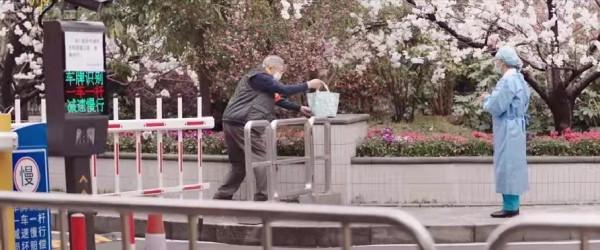 賈玲領銜主演電影《穿過寒冬擁抱你》：票房破10億元，再造奇蹟