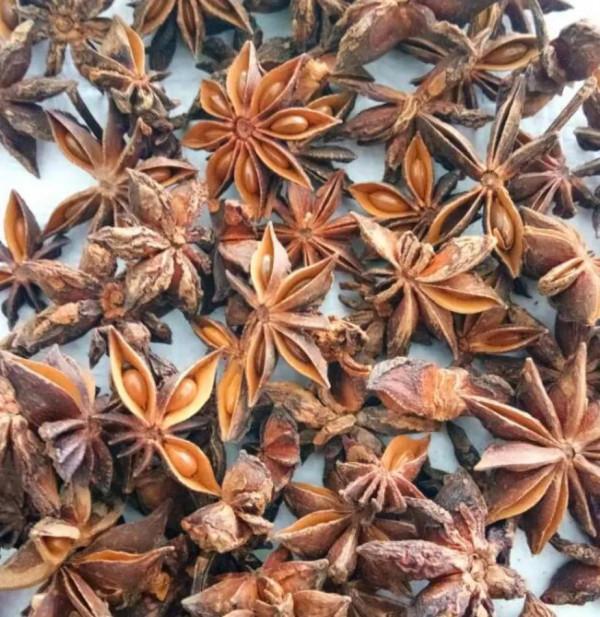 有了老釣魚人這些藥酒配方,秋冬釣魚不用愁 有了老釣魚人這些藥酒配方,秋冬釣魚不用愁