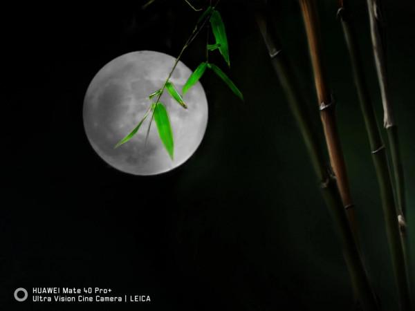 華為Mate40pro+鏡頭下中秋的日與夜 華為Mate40pro+鏡頭下中秋的日與夜