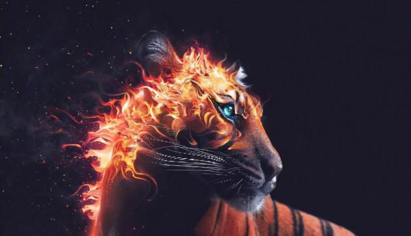 盤點八種昂貴的&OpenCurlyDoubleQuote;黑色神獸&rdquo;，黑雞也能價值一套房？黑虎僅剩6只