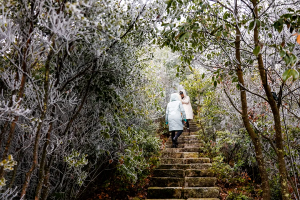 降溫有驚喜！南國山巔邂逅冰雪奇緣