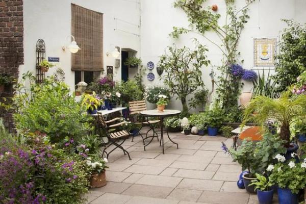 養花時遇到掉葉,長斑,長勢不佳等現象,要查詢原因,及時解決 養花時遇到掉葉,長斑,長勢不佳等現象,要查詢原因,及時解決