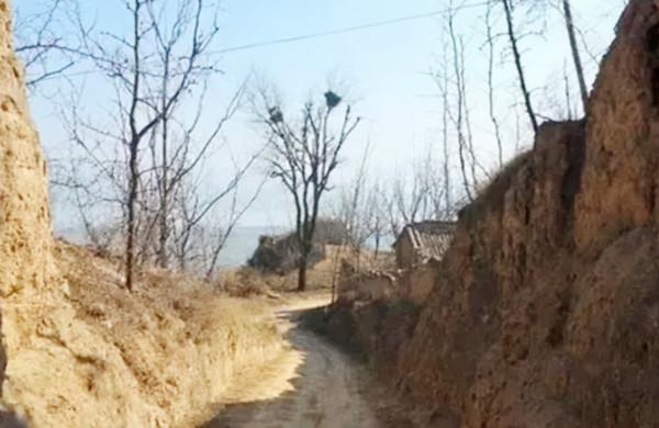 1995年,山東挖出一塊石碑,揭開了秦叔寶的身世之謎 1995年,山東挖出一塊石碑,揭開了秦叔寶的身世之謎