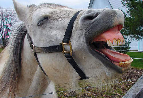 一大笑就破功！網友分享對“白馬王子”幻想毀滅瞬間