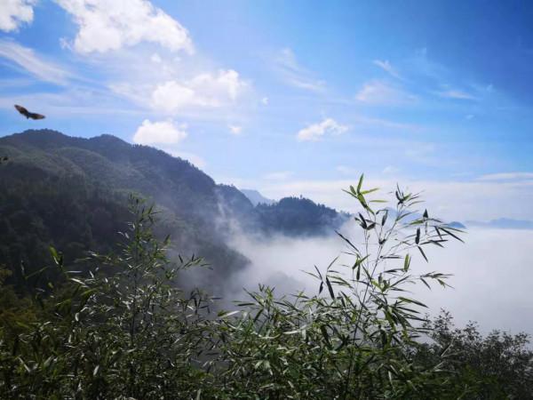 我在九華山：毫無徵兆地摔倒在了九華街上