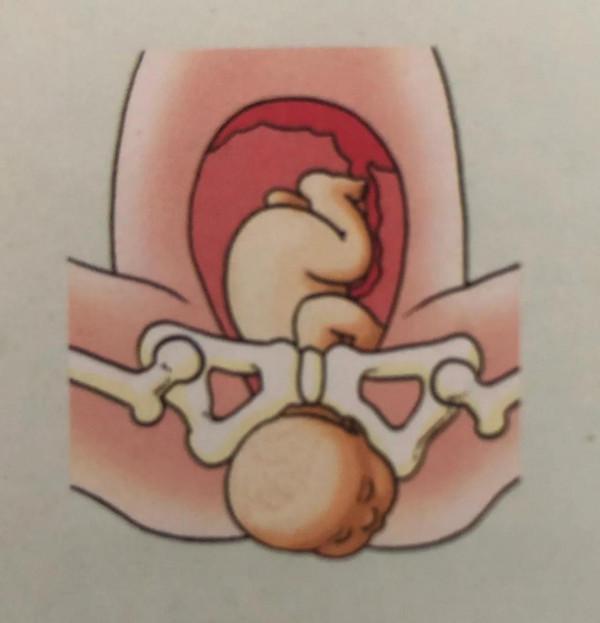 廣東新增育兒假,老公叫我生三胎,我讓他看完這6張圖 廣東新增育兒假,老公叫我生三胎,我讓他看完這6張圖