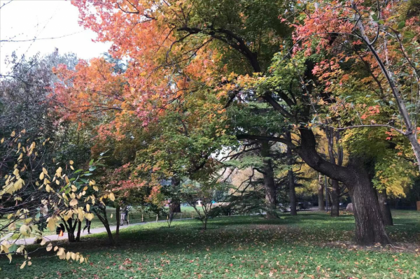 寫封信跟孩子聊生命、聊死亡