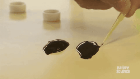 令人驚歎!30張震撼的對比照,看完姿勢大漲 令人驚歎!30張震撼的對比照,看完姿勢大漲