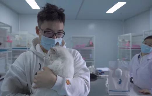 國產貓糧自建工廠和實驗室,經過實驗證明能美毛和幫助消化 國產貓糧自建工廠和實驗室,經過實驗證明能美毛和幫助消化