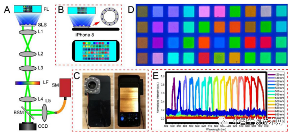 臉上、牙齒上積累的細菌會不會導致痤瘡和牙齦炎？拍張照片看看&period;&period;&period;