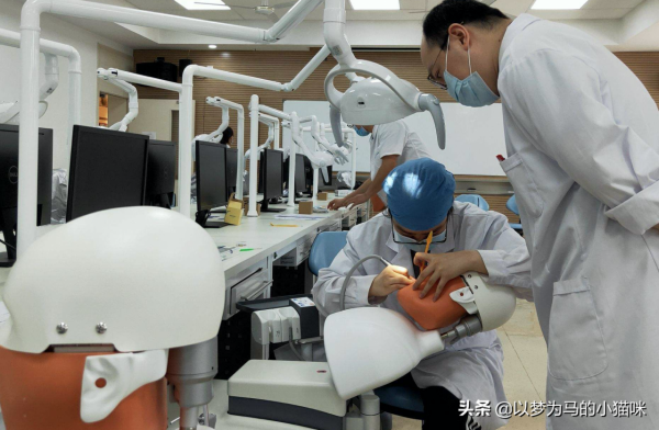 大專生適合的8個醫學專業，不建議報考臨床醫學，發展前景一般