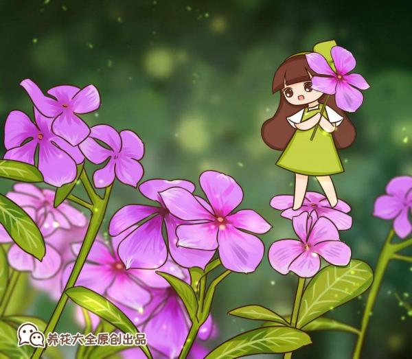 養護別稀裡糊塗，弄清楚這4點基礎知識，很重要