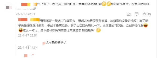 霸氣歸山！青海一隻荒漠貓為啥引起了全網關注？