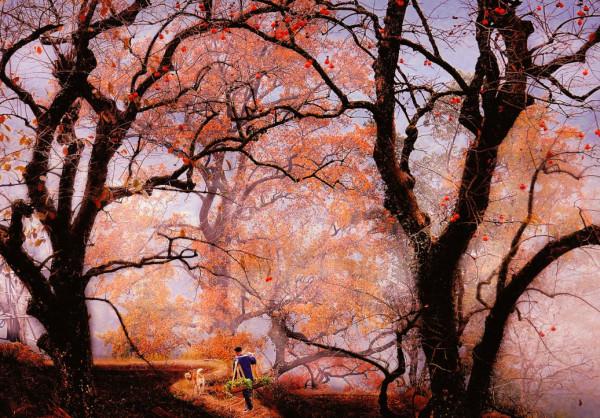 這才是11月最推薦去的景點，秋色正美還小眾，適合閒居兩三日