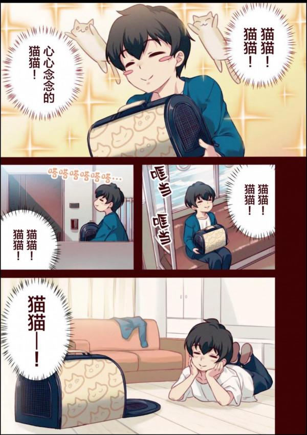 漫畫系列：《家裡迎來了貓貓！》