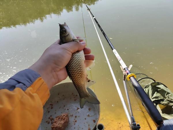 封竿6年有餘,重回釣壇沒做好準備用過期餌垂釣看看能不能有收穫 封竿6年有餘,重回釣壇沒做好準備用過期餌垂釣看看能不能有收穫