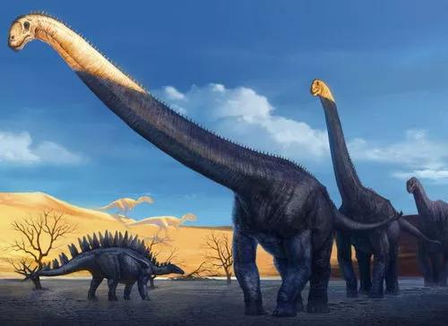 你不知道的恐龍之最 你不知道的恐龍之最