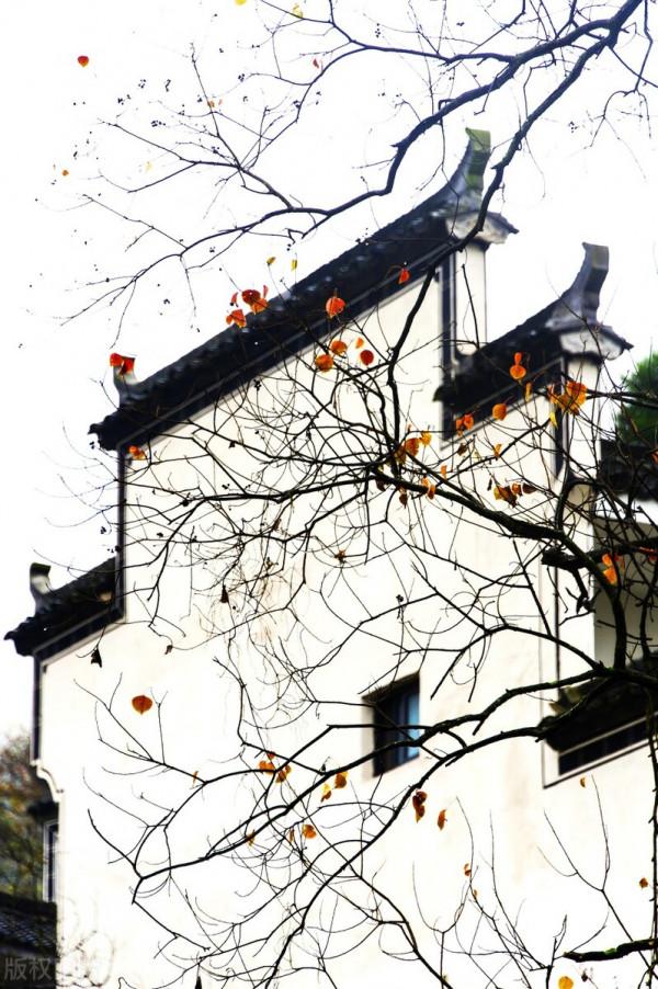 安徽又又又又又紅了 安徽又又又又又紅了