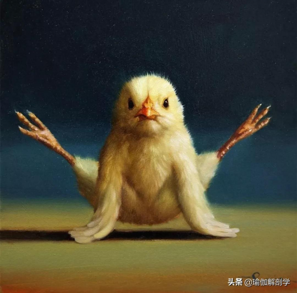 小雞瑜伽模仿大賽，收藏起來一起挑戰