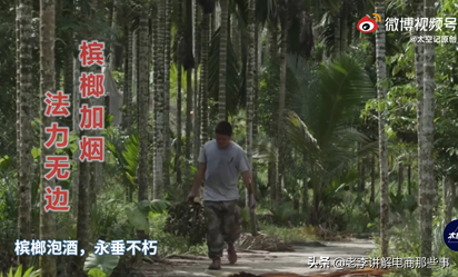 檳榔這個千億產值的產業，騙了6000萬人