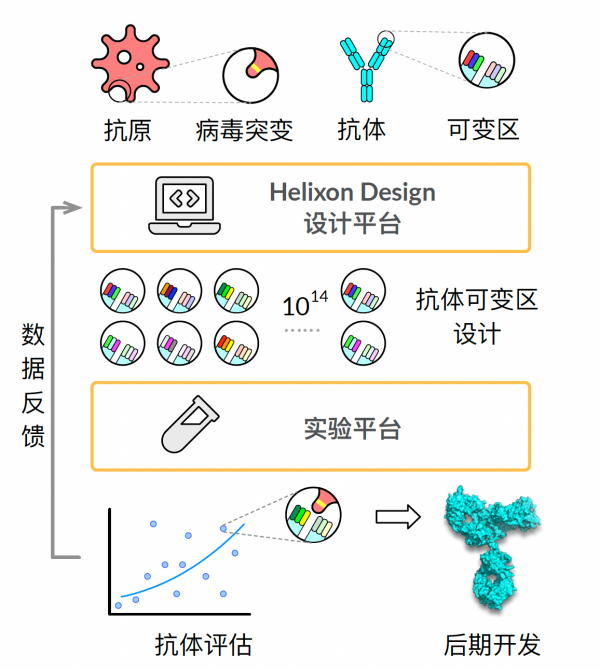 華深智藥彭健:首個由人工智慧設計的新冠抗體達到世界先進水平 華深智藥彭健:首個由人工智慧設計的新冠抗體達到世界先進水平