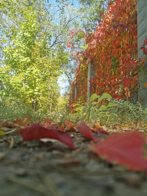 表面平靜如水，內裡心亂如麻