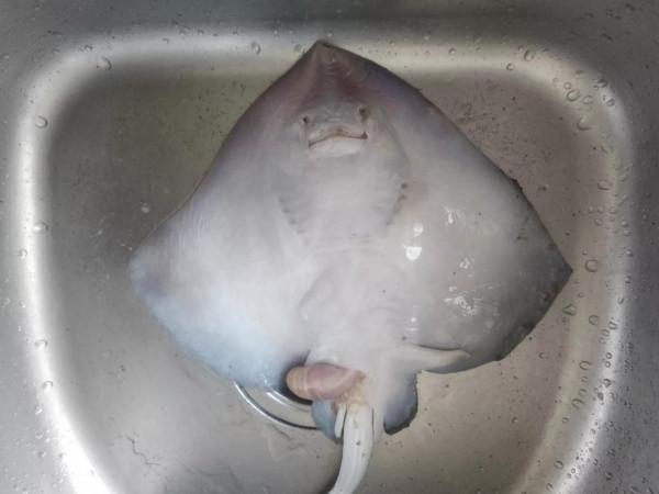 買魚時，別錯過這6種海魚，魚販：人工養不了！冬天是正肥的時候