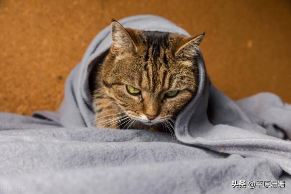 對冬季健身和相應飲食方面的幾點看法 對冬季健身和相應飲食方面的幾點看法