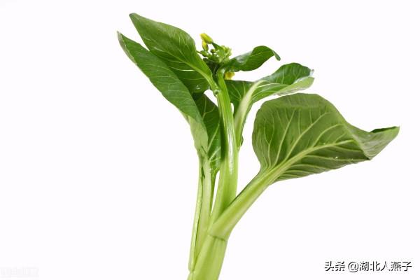明日立春，多吃8種綠色的&OpenCurlyDoubleQuote;立春菜&rdquo;，清補美味，順應節氣而食