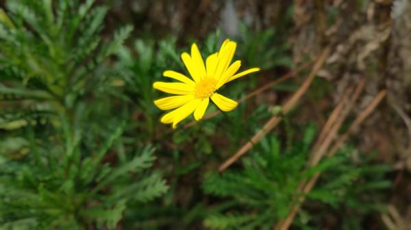 學習真的要5+2嗎？最好的方式是陪伴