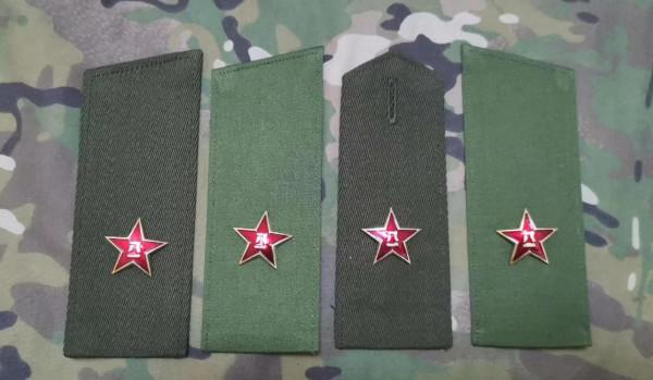 退役徽章欣賞（八五式）