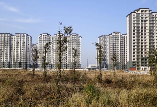 ​限跌令一出臺，等於做了逆向廣告，誰心裡虛，這下全知道了