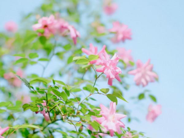 12月下旬，4個星座，為人細心，做事謹慎，用細節收穫成功