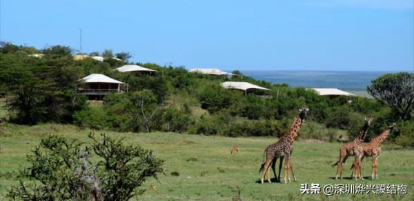 有一種民宿，叫膜結構民宿