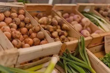 最會旅行的人都去逛菜市場了 最會旅行的人都去逛菜市場了