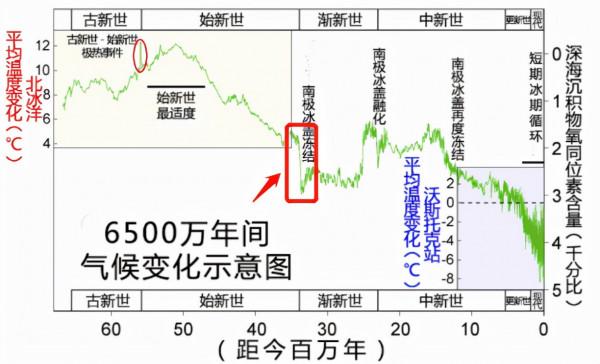 考古重大發現!埃及出土四足“死神鯨”,鯨魚演化有多傳奇? 考古重大發現!埃及出土四足“死神鯨”,鯨魚演化有多傳奇?
