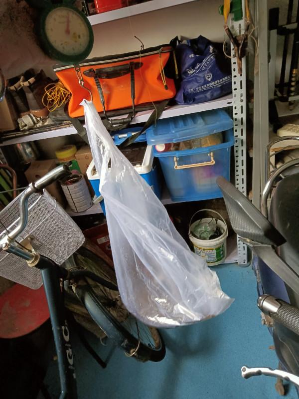 傳統釣第三天，使用逗釣600克大黃金鯽成功入護