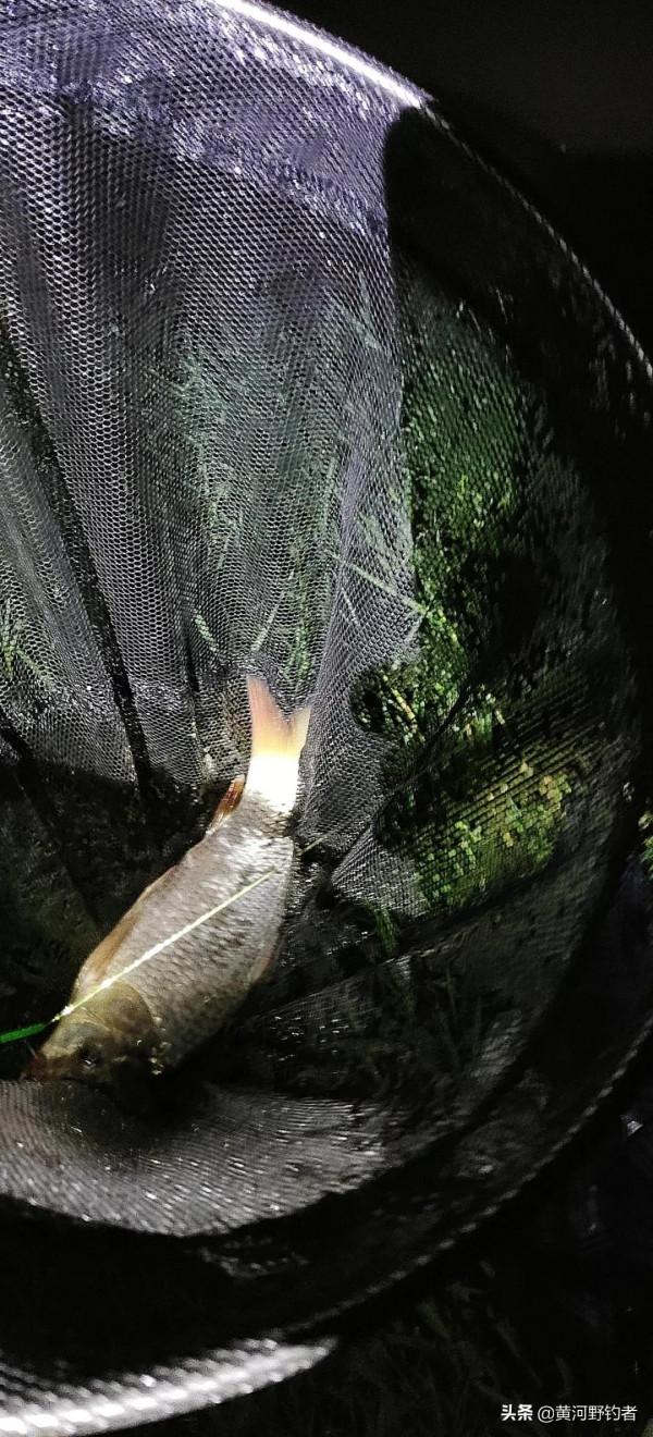 流水河怎樣使用磯竿滑漂野釣