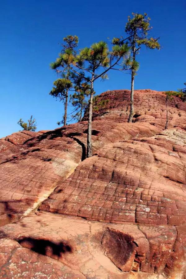七彩雲南的各種絕美面板，從白雪皚皚的大雪山到美麗富饒的紅河谷